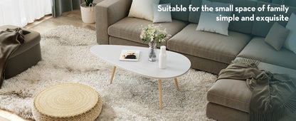 SAYGOER Modern Coffee Table White Oval Coffee Tables for Living Room Simple Center Table for Small Space Home Office Easy Assembly 22.2" D x 42.5" W x 17.1" H, White